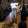 preview image17 nostri prodotti